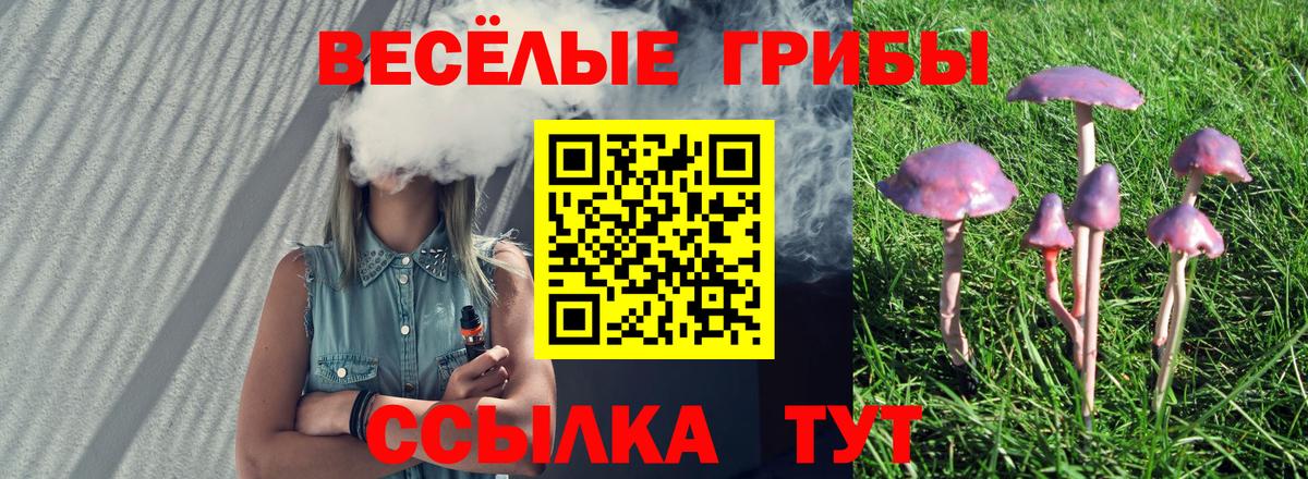 Псилоцибиновые грибы ЛСД  Псилоцибиновые грибы Magic Shrooms  Вход с VPN  Борисоглебск 